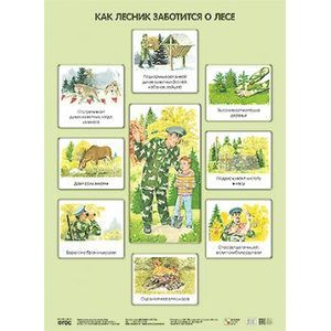 Фото Как лесник заботится о лесе. Плакат