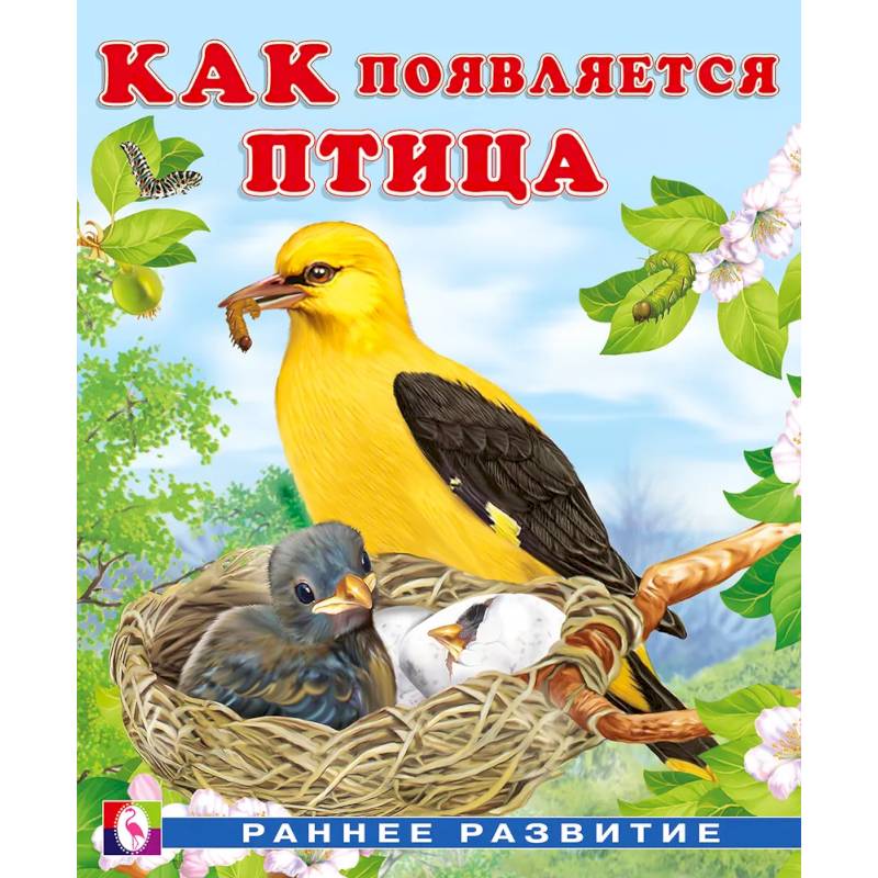 Фото Как появляется птица