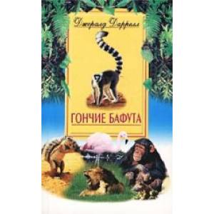 Фото Гончие Бафута