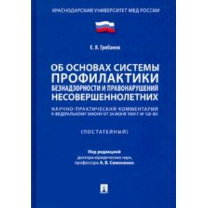 Фото Научно-практический комментарий к ФЗ «Об основах системы профилактики безнадзорности...'