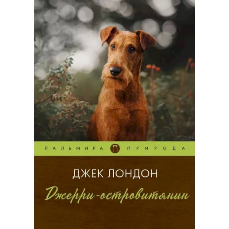 Фото Джерри-островитянин