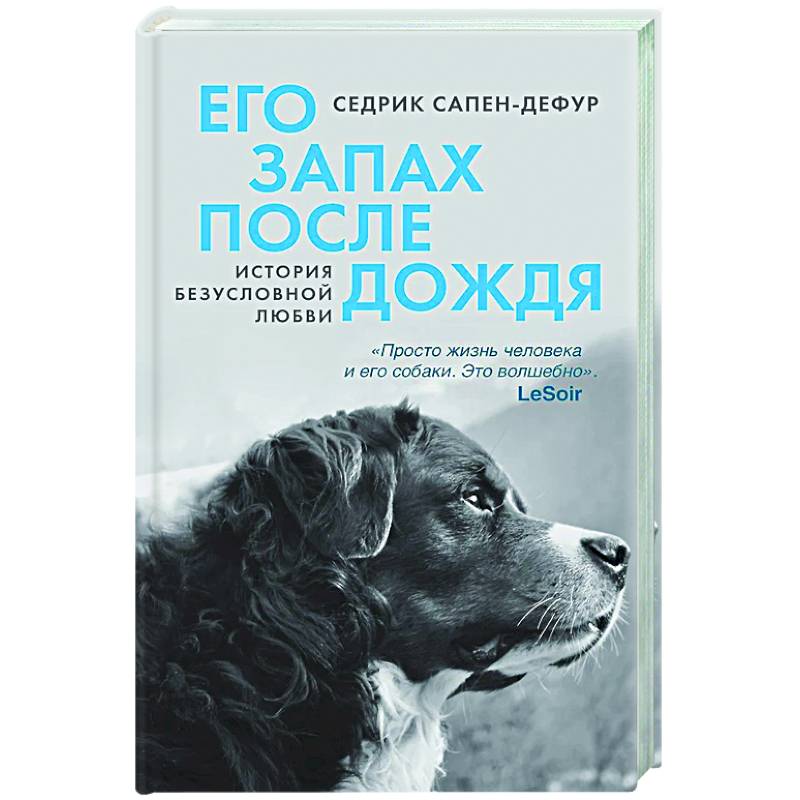 Фото Его запах после дождя