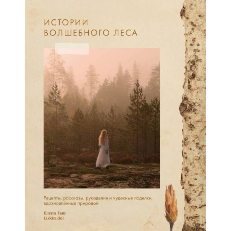 Фото Истории волшебного леса. Рецепты, рассказы, рукоделие и чудесные поделки, вдохновлённые природой