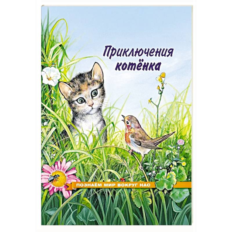 Фото Приключения котенка