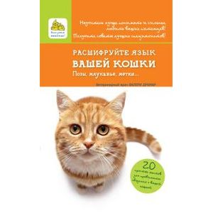 Фото Расшифруйте язык вашей кошки