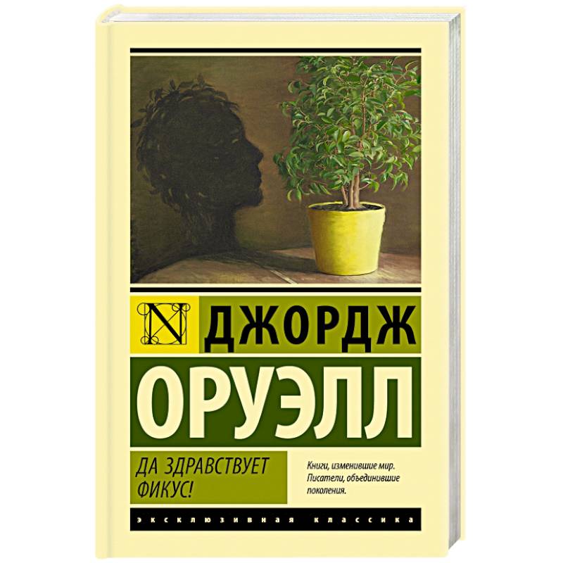 Фото Да здравствует фикус!