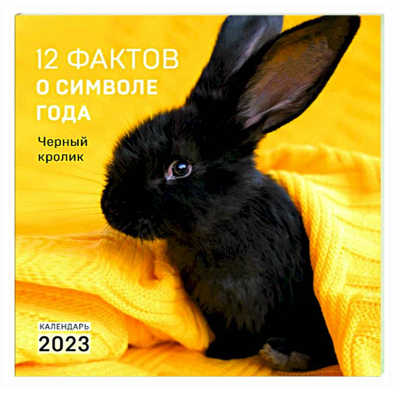 Фото 12 фактов о символе года. Черный кролик. Календарь на 2023 год