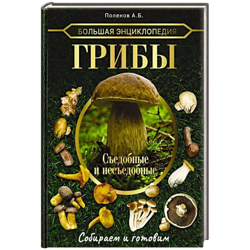 Фото Большая энциклопедия. Грибы. Съедобные и несъедобные. Собираем и готовим