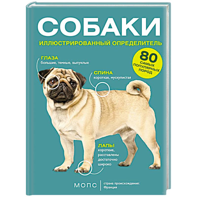 Фото Собаки. 80 самых популярных пород. Иллюстрированный определитель