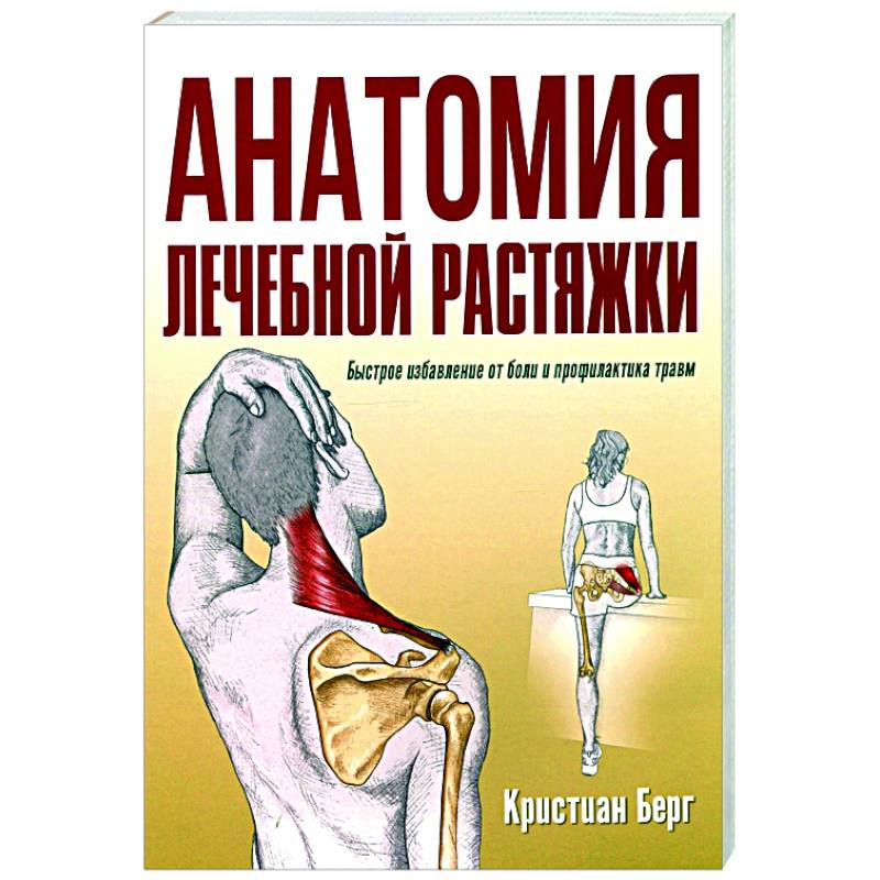 Фото Анатомия лечебной растяжки: быстрое избав. от боли