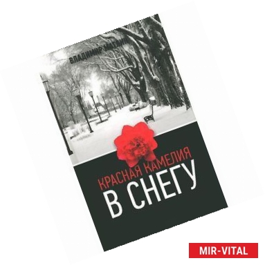 Фото Красная камелия в снегу