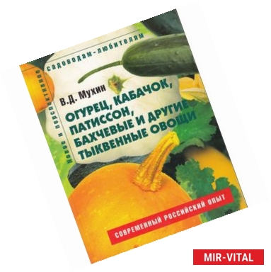 Фото Огурец, кабачок, патиссон, бахчевые и другие тыквенные овощи