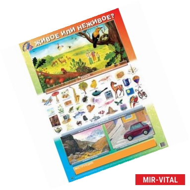 Фото Живое или неживое