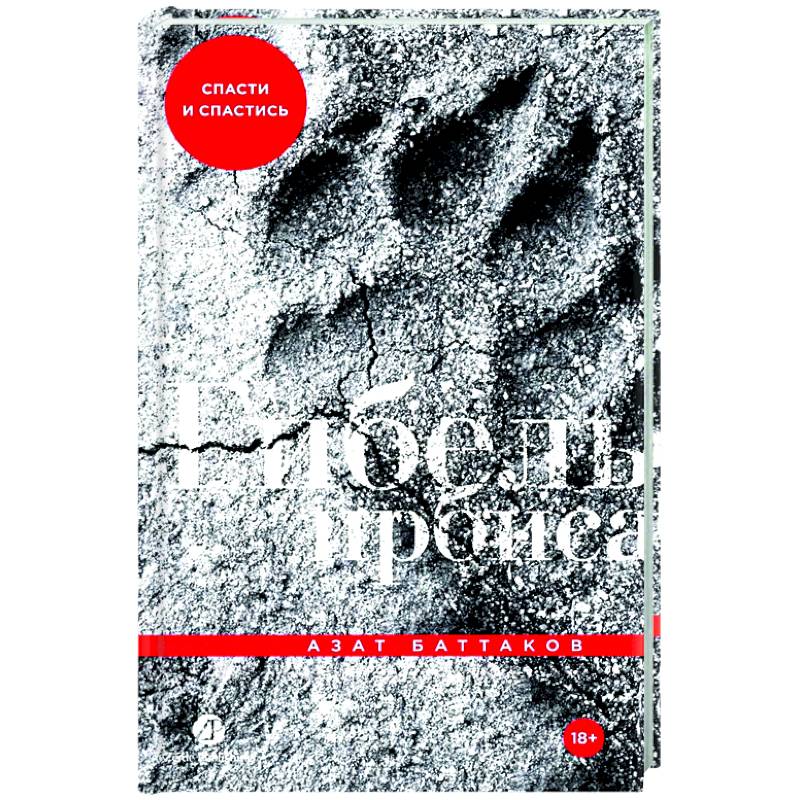 Фото Гибель ирбиса: Спасти и спастись