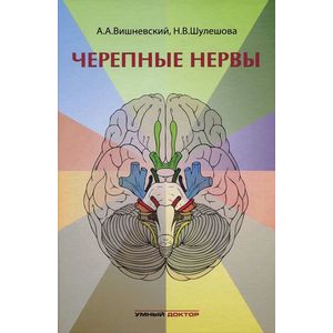 Фото Черепные нервы