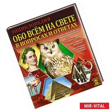 Фото Обо всем на свете в вопросах и ответах