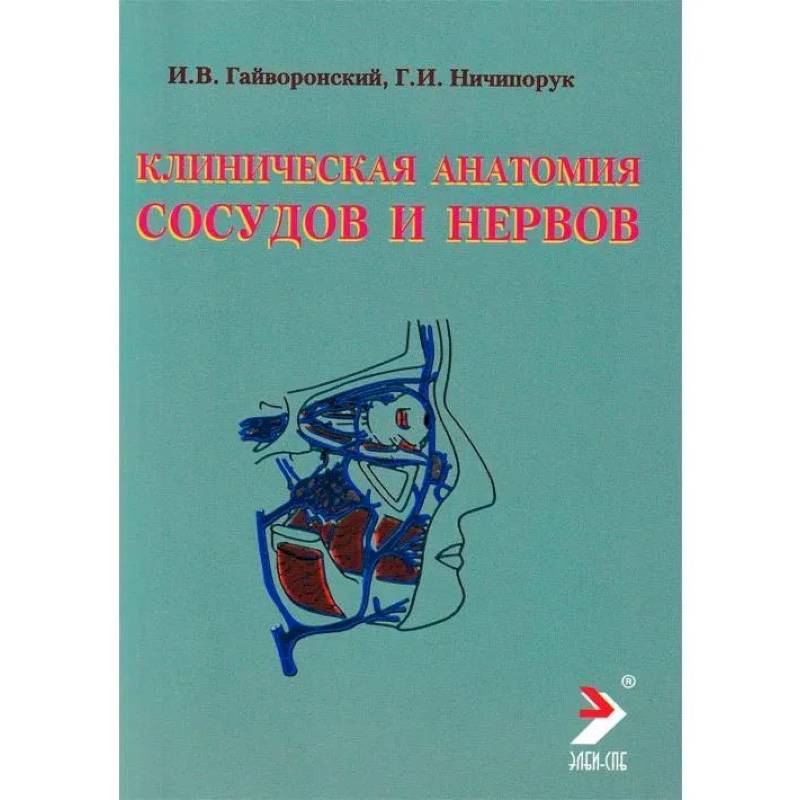 Фото Клиническая анатомия сосудов и нервов. Учебное пособие