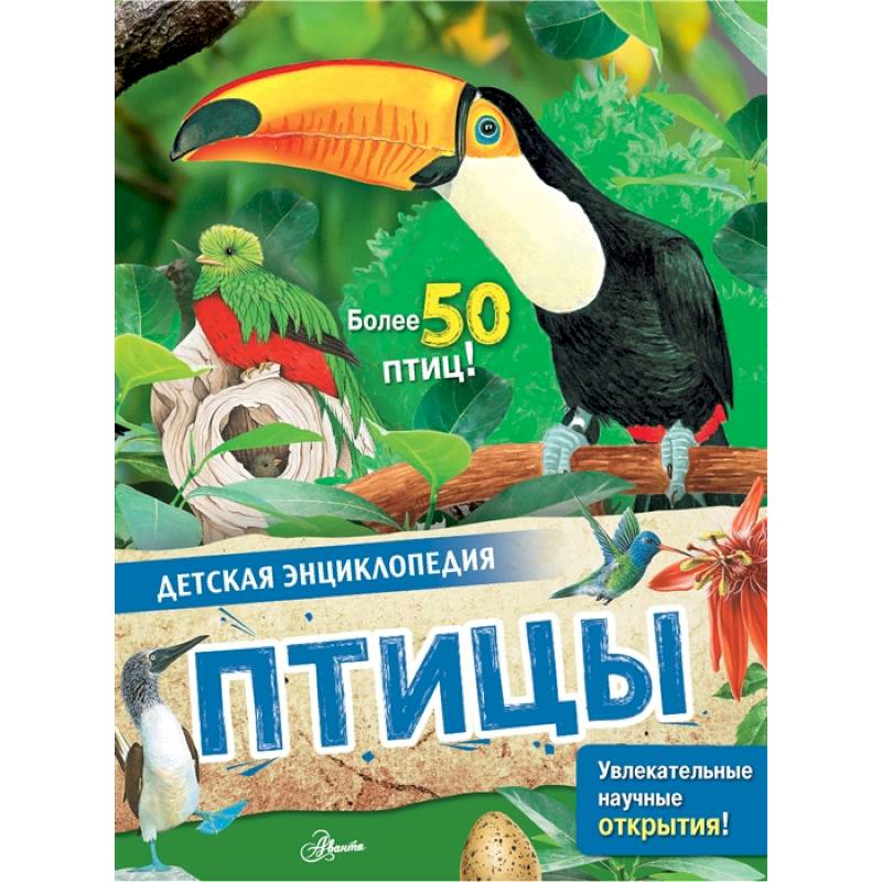 Фото Птицы