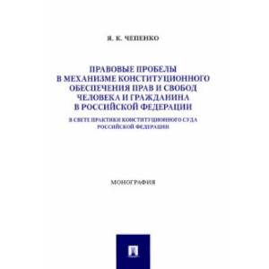 Фото Правовые пробелы в механизме конституционного обеспечения прав и свобод человека и гражданина в РФ