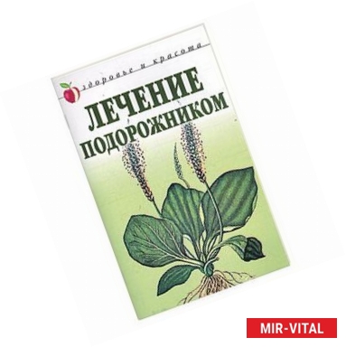 Фото Лечение подорожником