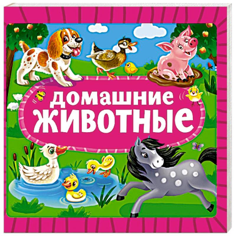 Фото Домашние животные