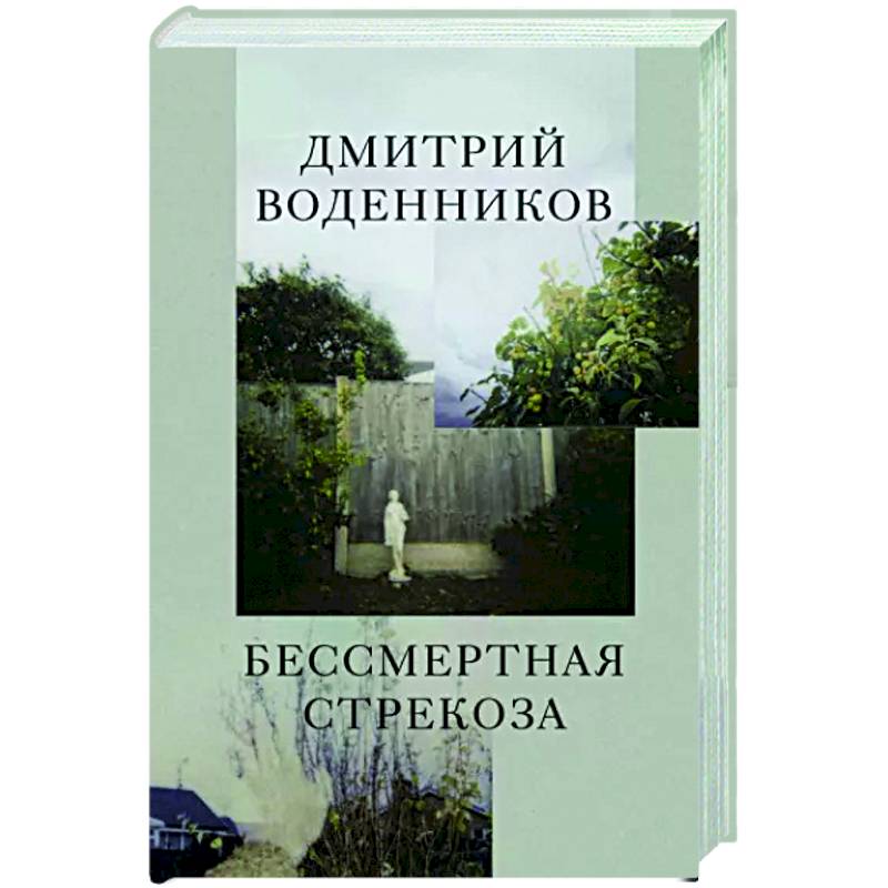 Фото Бессмертная стрекоза