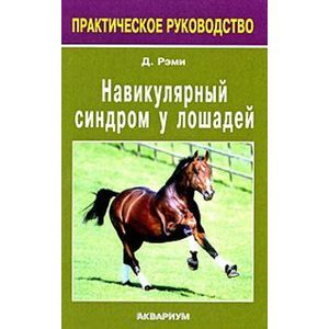 Фото Навикулярный синдром у лошадей