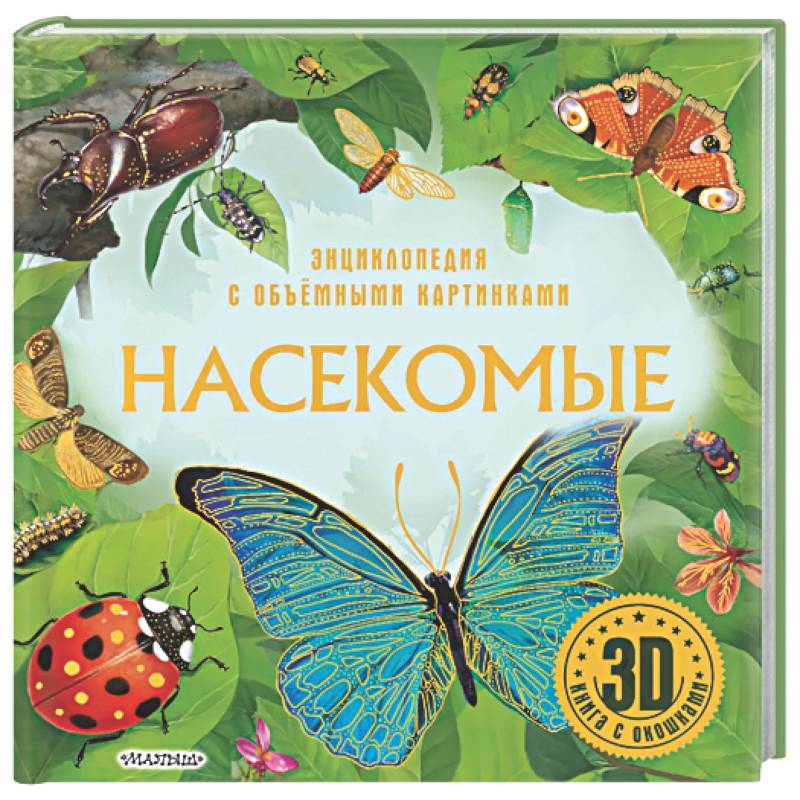 Фото Насекомые