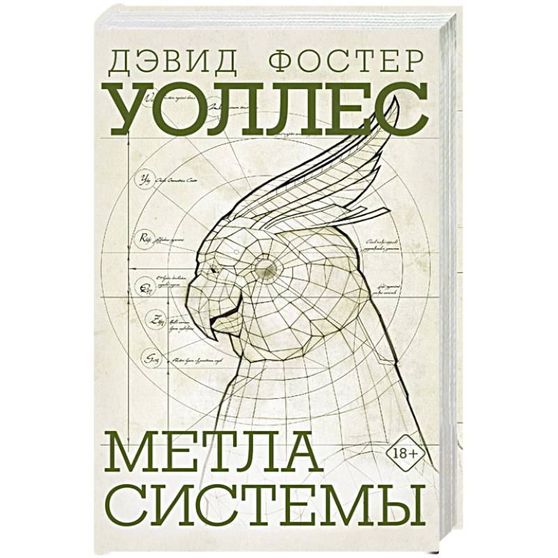 Фото Метла системы