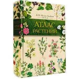 Фото Атлас растений