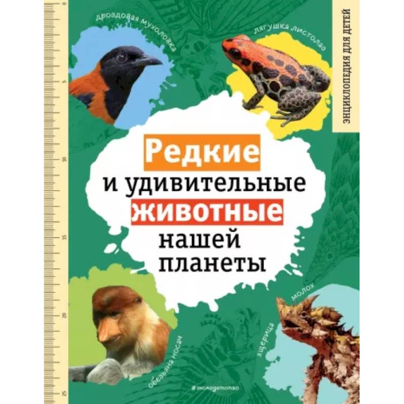 Фото Редкие и удивительные животные нашей планеты