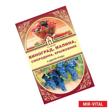 Фото Виноград, малина, смородина, крыжовник и другие ягоды