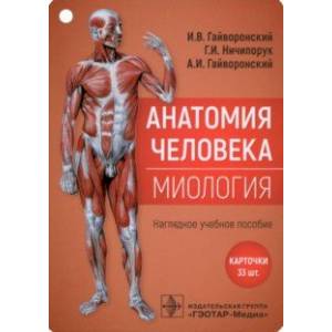 Фото Анатомия человека. Миология. Комплект карточек. Наглядное учебное пособие