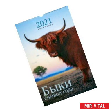 Фото Календарь на 2021 год одноблочный средний 'Символ года. Дизайн 3' (КПВС2103)