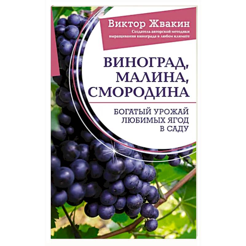 Фото Виноград, малина, смородина. Богатый урожай любимых ягод в саду