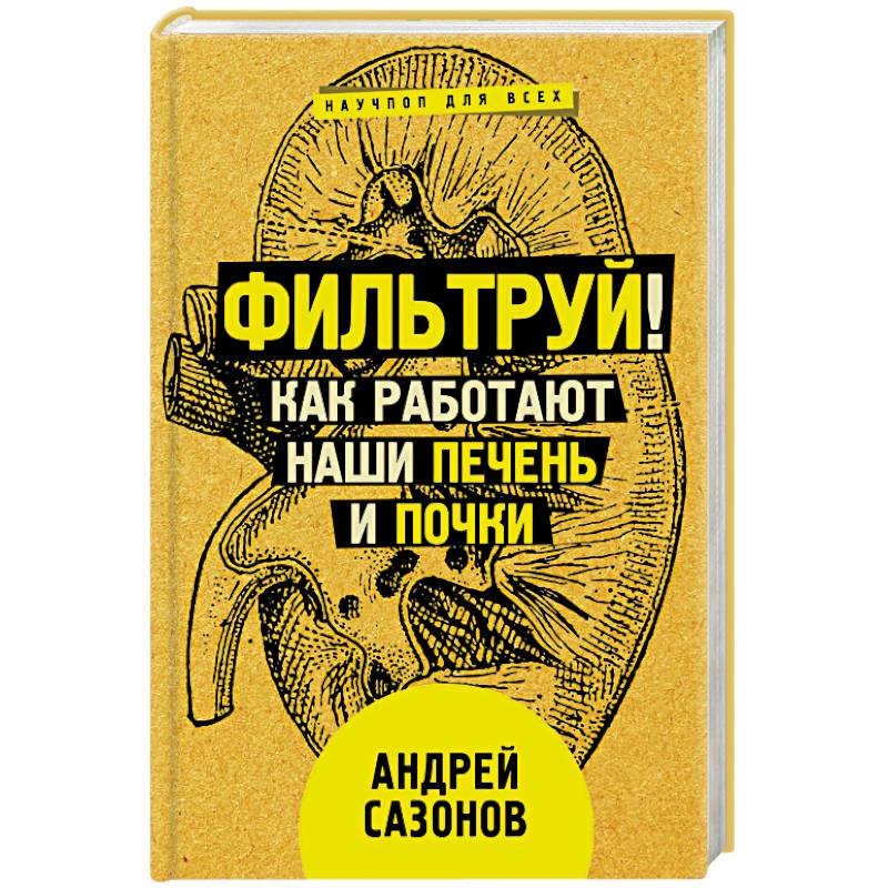 Фото Фильтруй! Как работают наши печень и почки
