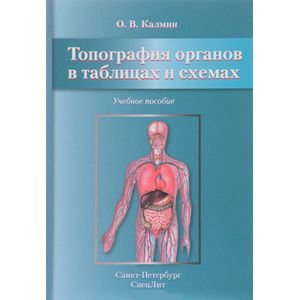 Фото Топография органов в таблицах и схемах