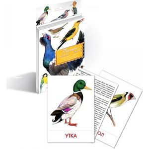Фото Дидактические карточки. Птицы наших лесов