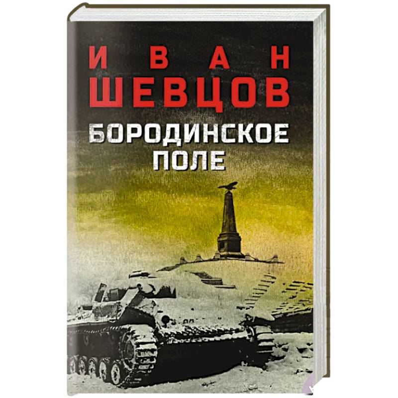 Фото Бородинское поле