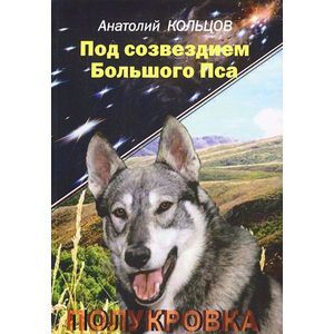 Фото Под созвездием Большого Пса