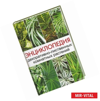 Фото Энциклопедия декоративно-лиственных комнатных растений
