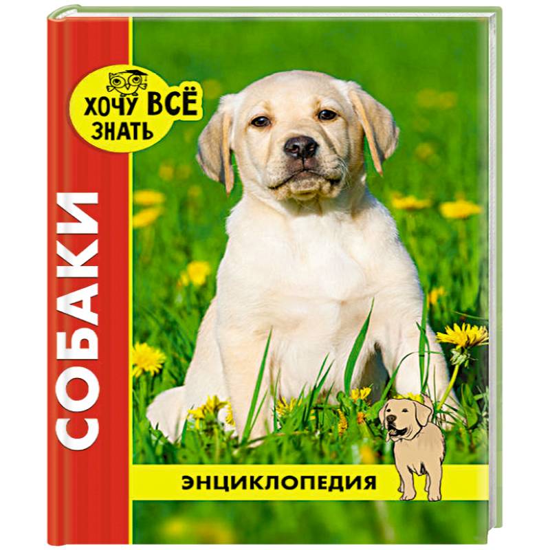 Фото Хочу все знать. Собаки