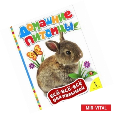 Фото Домашние питомцы