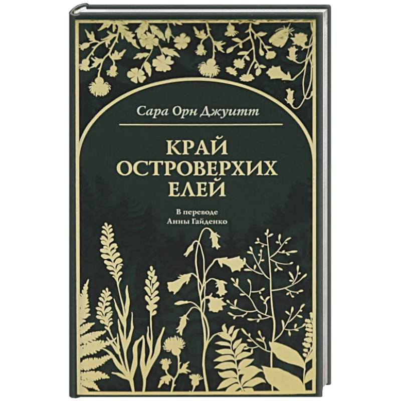 Фото Край островерхих елей