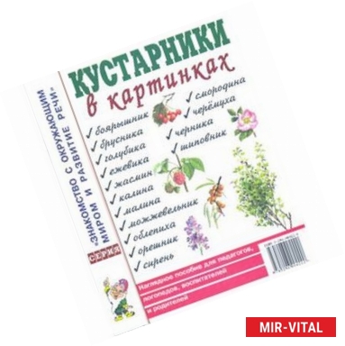 Фото Кустарники в картинках. Наглядное пособие для педагогов, логопедов, воспитателей и родителей