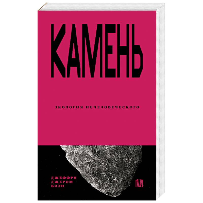 Фото Камень. Экология нечеловеческого