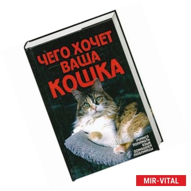 Фото Чего хочет ваша кошка