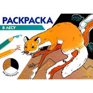 Фото Раскраска три цвета бумаги. В лесу