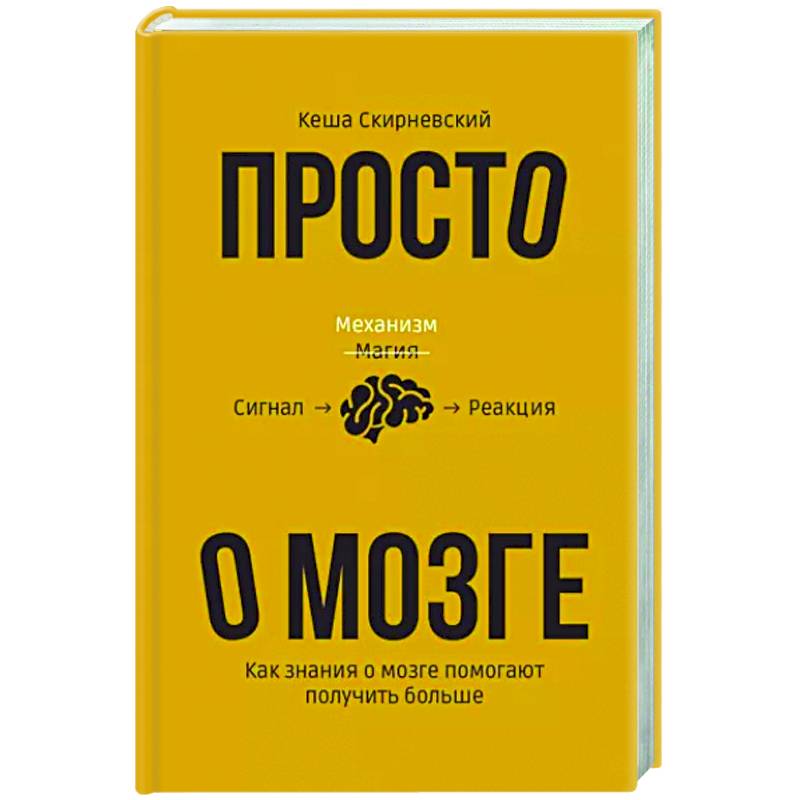 Фото Просто о мозге. Как знания о мозге помогают получить больше