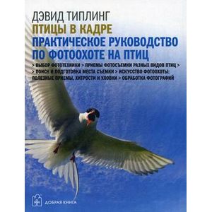 Фото Птицы в кадре. Самое полное практическое руководство по фотоохоте на птиц с цифровой фотокамерой